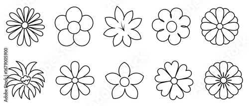 Set of flower inflorescences. Sketch. Vector illustration. Chamomile, violet, lily, gerbera, lush bud, chrysanthemum, cornflower, narcissus. Outline on an isolated white background. Doodle style. 