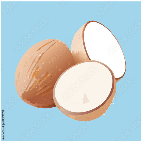 A front view coco nuts sliced and whole milky fresh mellow isolated