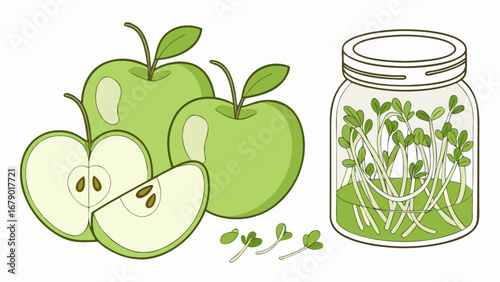 Green apples and sprouts in jar illustration for healthy eating and organic food concept art design
