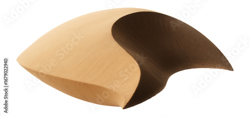 Crescent-shaped barchan dune with smooth, windward slope and steep slip face