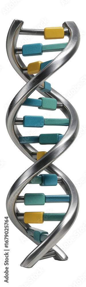 Naklejka premium DNA helix model with highlighted phosphate groups in bright yellow