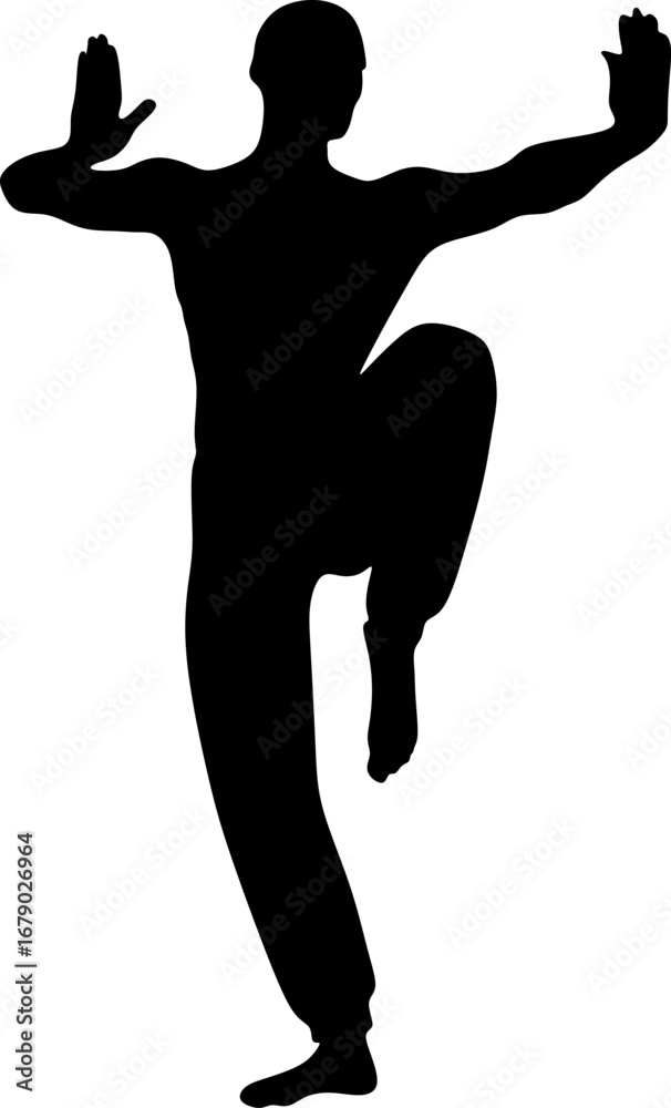 Fototapeta premium Kung fu fighter strikes a pose