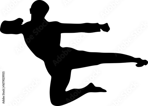 Martial artist performs a flying kick