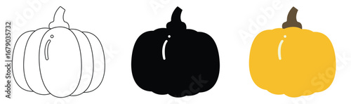 Set of fresh vegetables pumpkin vector illustration on white background