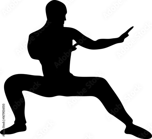 Martial artists silhouette in fighting pose