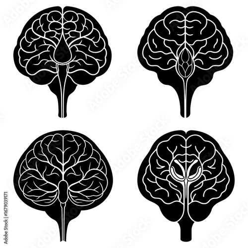 Four black and white anatomical brain illustrations with internal structures and veined details shown clearly