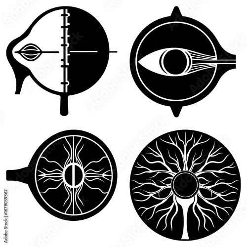 Anatomical eye diagrams showing cross sections and internal structures in black and white illustration