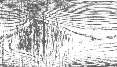Grunge wood texture scratched vector black and white distressed. Abstract Monochrome vector design on transparent background.