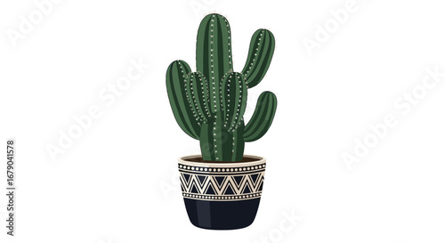 Tall green cactus in a decorative black and white patterned pot