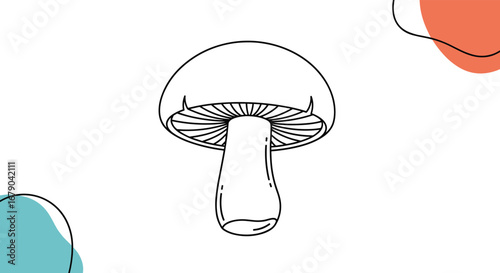 Understanding the fascinating world of fungi and their culinary delights