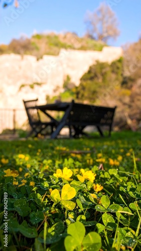 Outdoor picnic table with yellow flowers