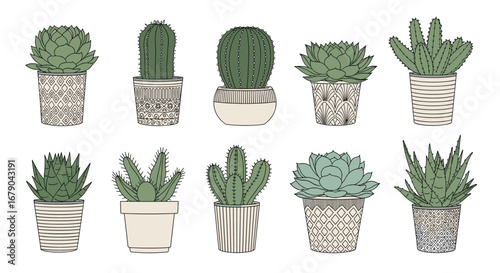 A collection of various potted succulents and cacti plants for home decor