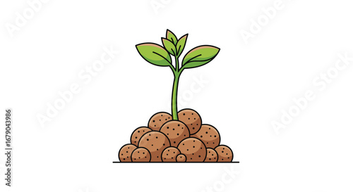 A young green plant growing up from a pile of soil clods