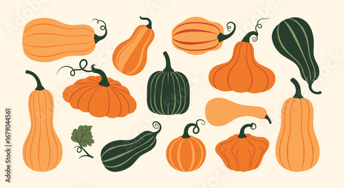 A whimsical assortment of autumn gourds and squashes ready for harvest