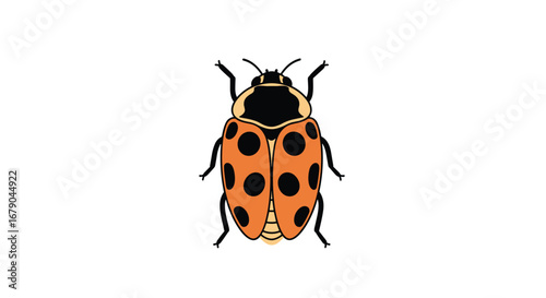Detailed illustration of a seven spotted ladybug a beneficial insect in garden ecosystems