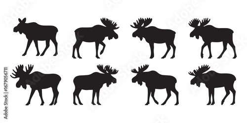 Collection of eight black moose silhouettes on a white background in various poses