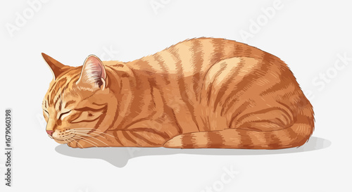 Illustration of a Peaceful Orange Tabby Cat Napping Comfortably on the Floor