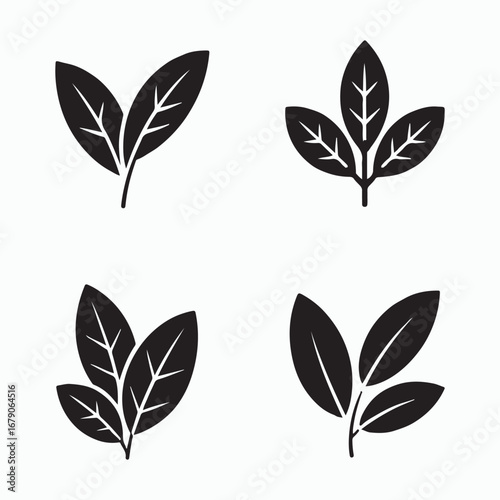 Bay Leaf Solid Herb Icons Collection