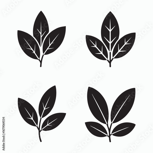 Bay Leaf Solid Food Ingredient Icons