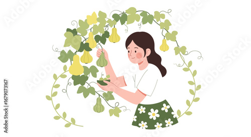 Young Woman Harvesting Gourd Fruits from Vine on a Sunny Day in The Garden