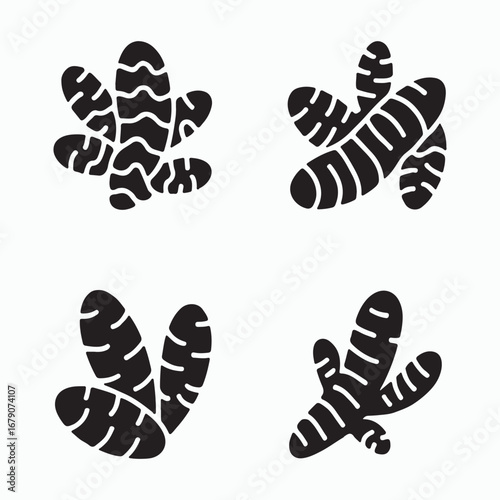 Turmeric Root Solid Black Herbal Icons