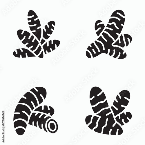 Turmeric Root Solid Herbal Spice Icons