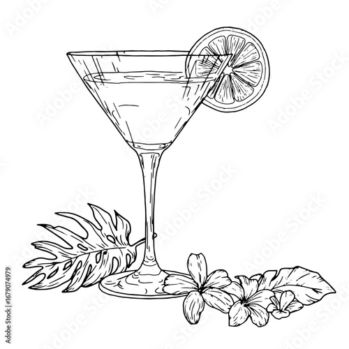 Martini glass on a thin stem, with a slice of lime, black and white ink sketch. Vector illustration. Classic cocktail glass for martini, tropical flower and monstera leaf, isolated on white background