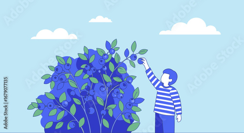 Youngster Harvesting Fresh Blueberries From a Bush in a Sunny Cartoonish Illustration