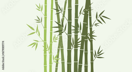 Zen Bamboo Grove: A Serene Illustration of Green Stalks and Delicate Foliage Creating a Tranquil Natural Ambiance