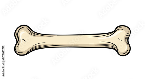 Illustrative bone vector graphic displaying skeletal fragment, a representation of anatomy or potential food source for pets