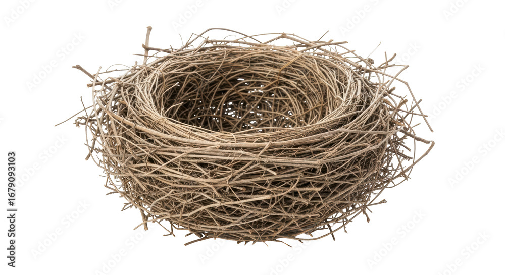 Obraz premium Isolated Empty Bird Nest
