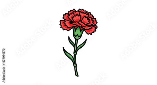 Stylized carnation flower illustration with intricate red petals and verdant stem on a stark white canvas highlighting details and textures 150