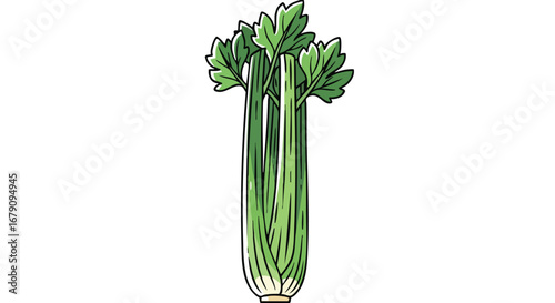 Vibrant green celery stalk illustration showcasing freshness and healthy eating habits in a minimalist drawing style