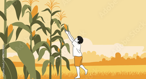 Young Person Harvesting Corn In A Field Representing Rural Life Activities