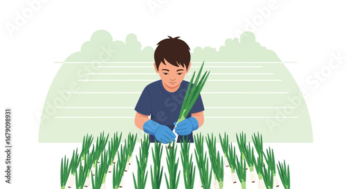 Young Person Harvesting Fresh Spring Onions in a Lush Garden with Gardening Gloves