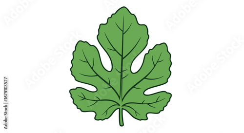Stylized fig leaf illustration on white backdrop displaying organic form and intricate venation with soft green hue embodying botanical simplicity