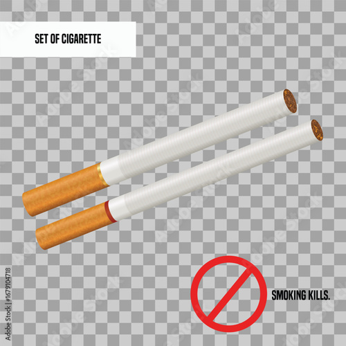 Set of cigarettes vector 