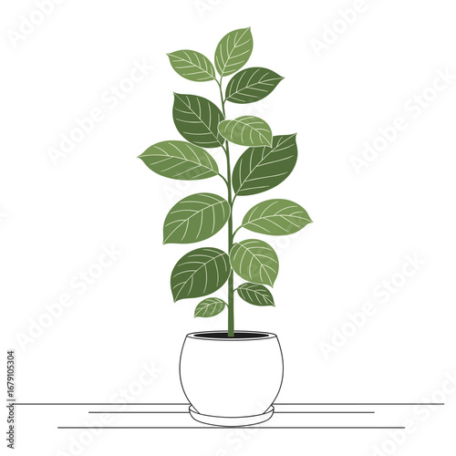 Green leaves in a white pot on a table in a studio