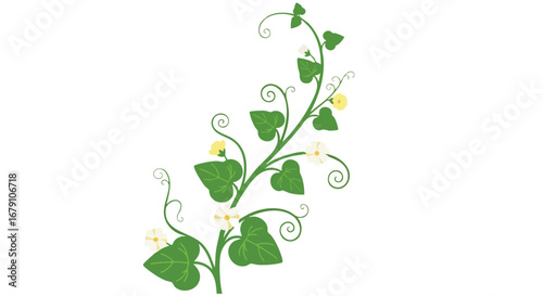 Delicate creeper vine with swirling tendrils and petite blossoms, a fanciful botanical illustration for springtime designs and elegant backgrounds