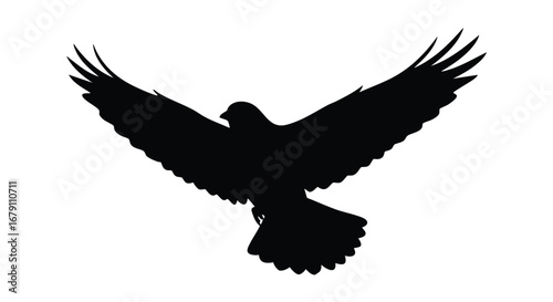 Soaring Silhouette: Majestic Bird in Flight, Wings Extended Against a Clear Sky backdrop and pure avian elegance captured in sleek, modern style