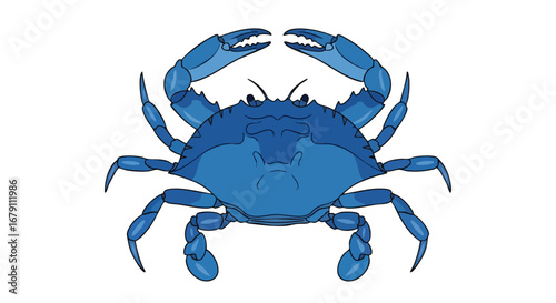 A detailed, vibrant blue crab illustration with visible anatomy and strong claws ready to pinch and a unique ocean texture effect applied, isolated