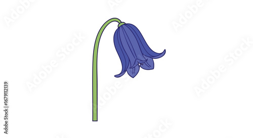 Delicate bluebell flower artwork, a simple stem supporting a bell shaped floral head in a clean graphic style illustration against a white background