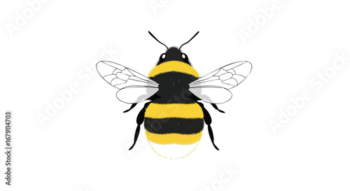 Stylized bumblebee illustration with visible wings and a distinct yellow and black pattern over a clean white backdrop, perfect for graphic design