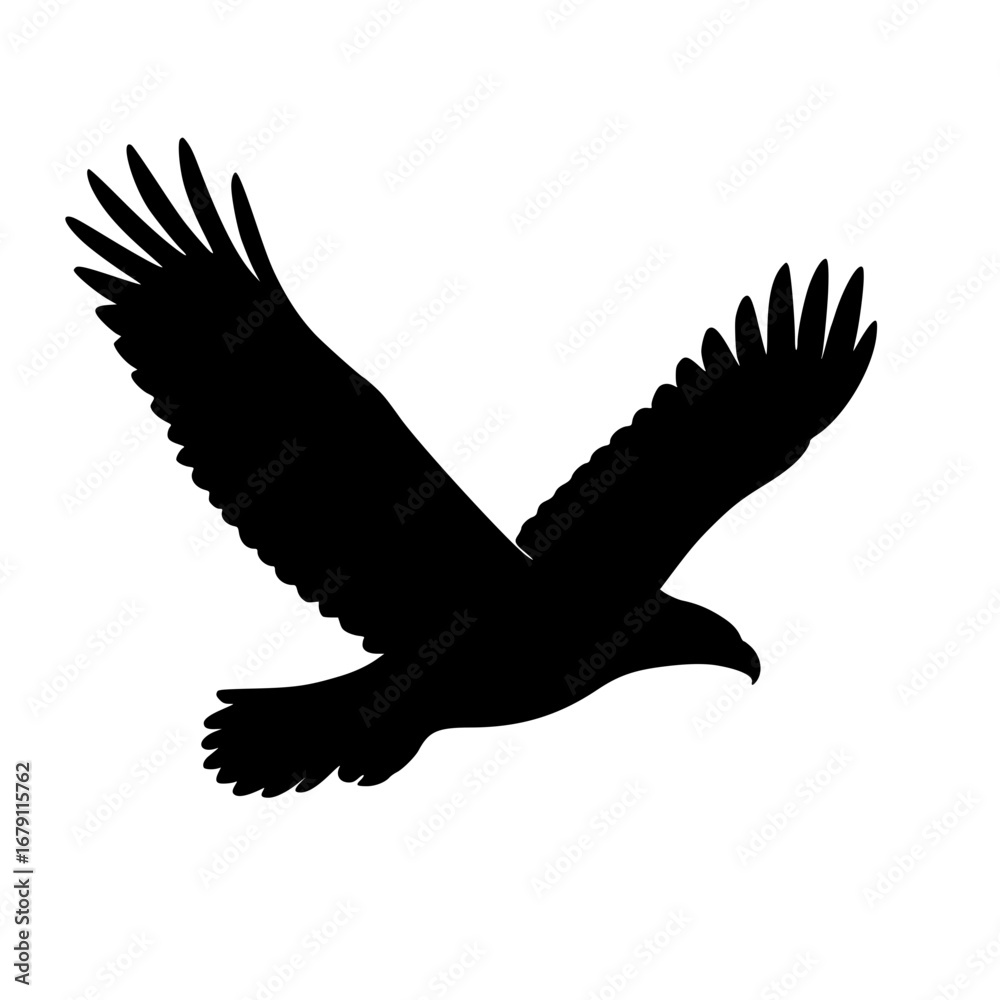 Fototapeta premium Black Silhouette Flying Eagle with Wide Wings Vector Isolated on White Background