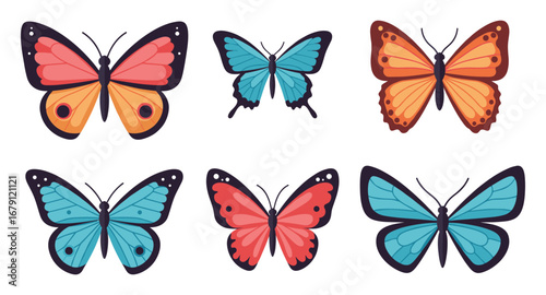 Colorful butterfly collection featuring various species with unique patterns and bold designs