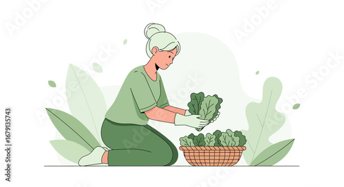 Woman Harvesting Lush Green Lettuce In Her Garden Preparing Healthy Food