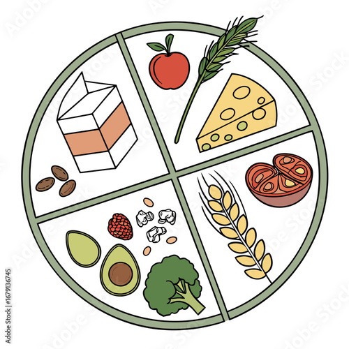 Healthy balanced diet represented by a circular food group chart with fruits vegetables dairy grains and nuts