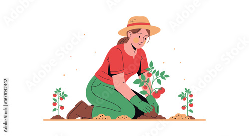 Woman Planting Tomato Seedlings In Garden Amidst Growing Tomato Plants