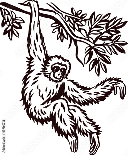 Gibbon monkey swinging from tree branch in vintage engraved drawing isolated on white background