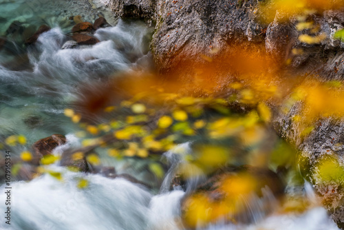 Whitewater rushes over rocks in a gorge, framed by blurred yellow leaves. Slizza gorge, Julian Alps, Tarvisio, Italy